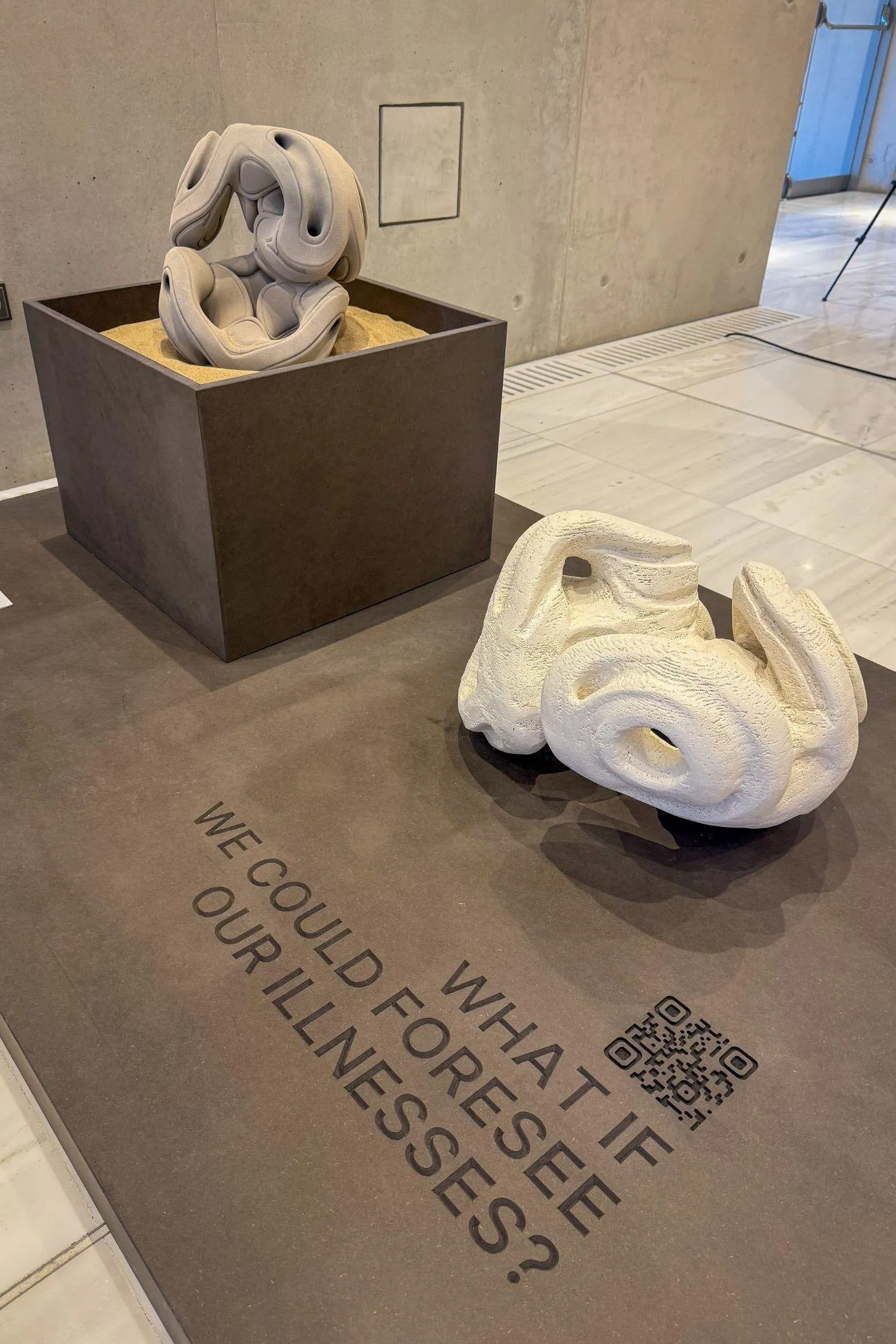 Artefacts pair