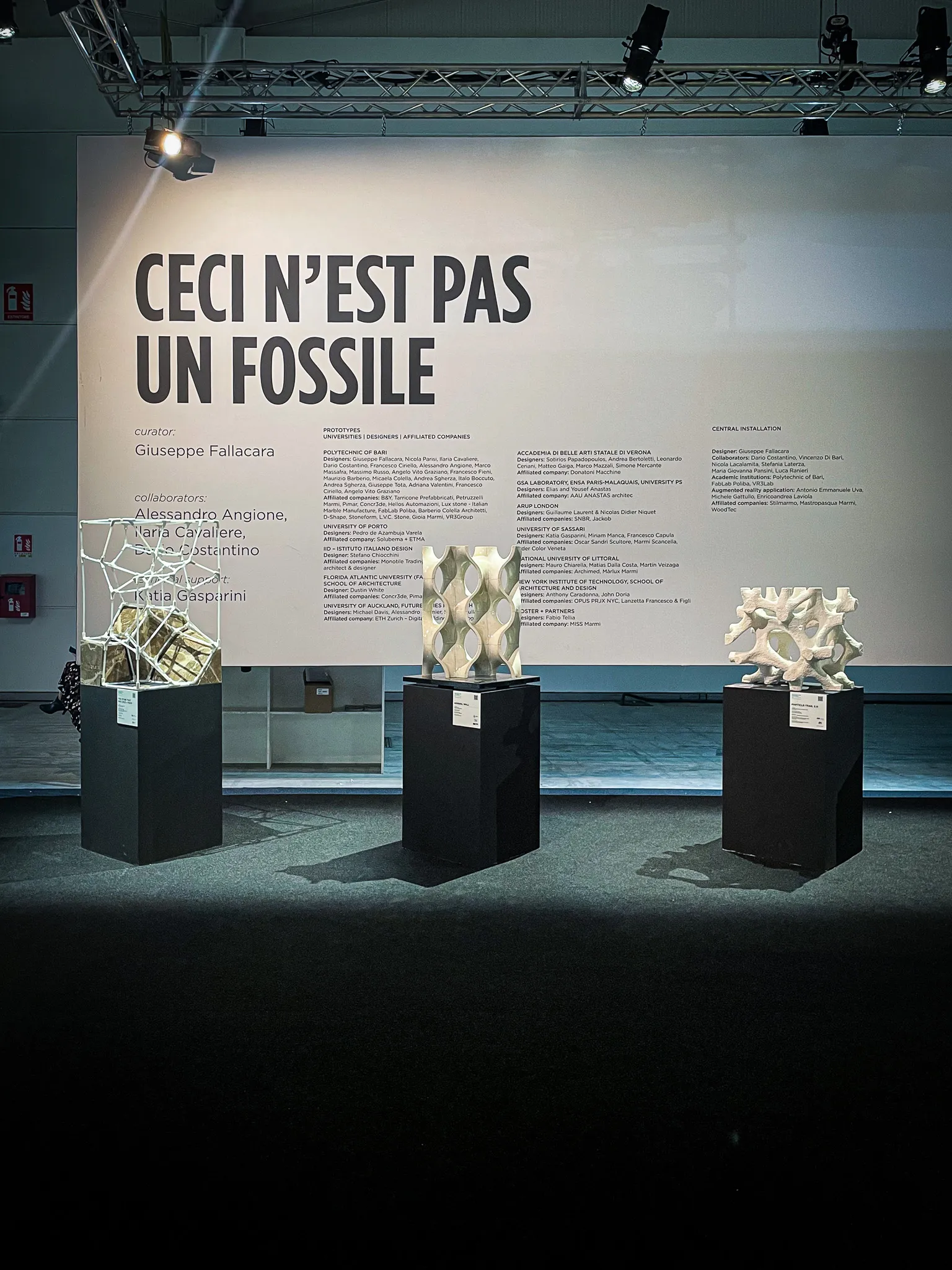 Fossil 1