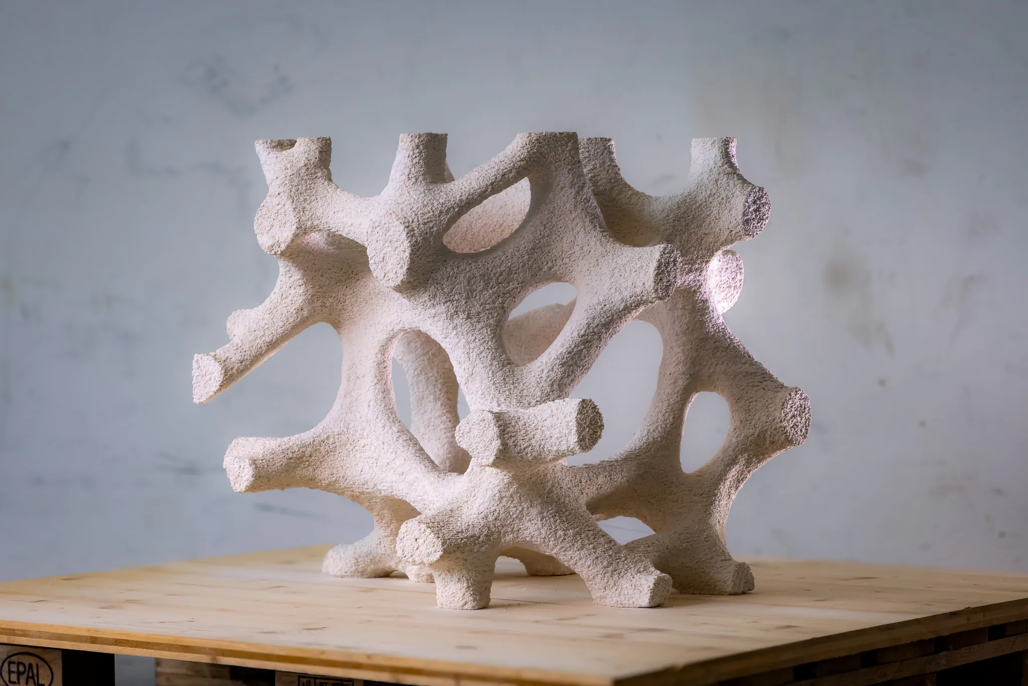 Fossil 2