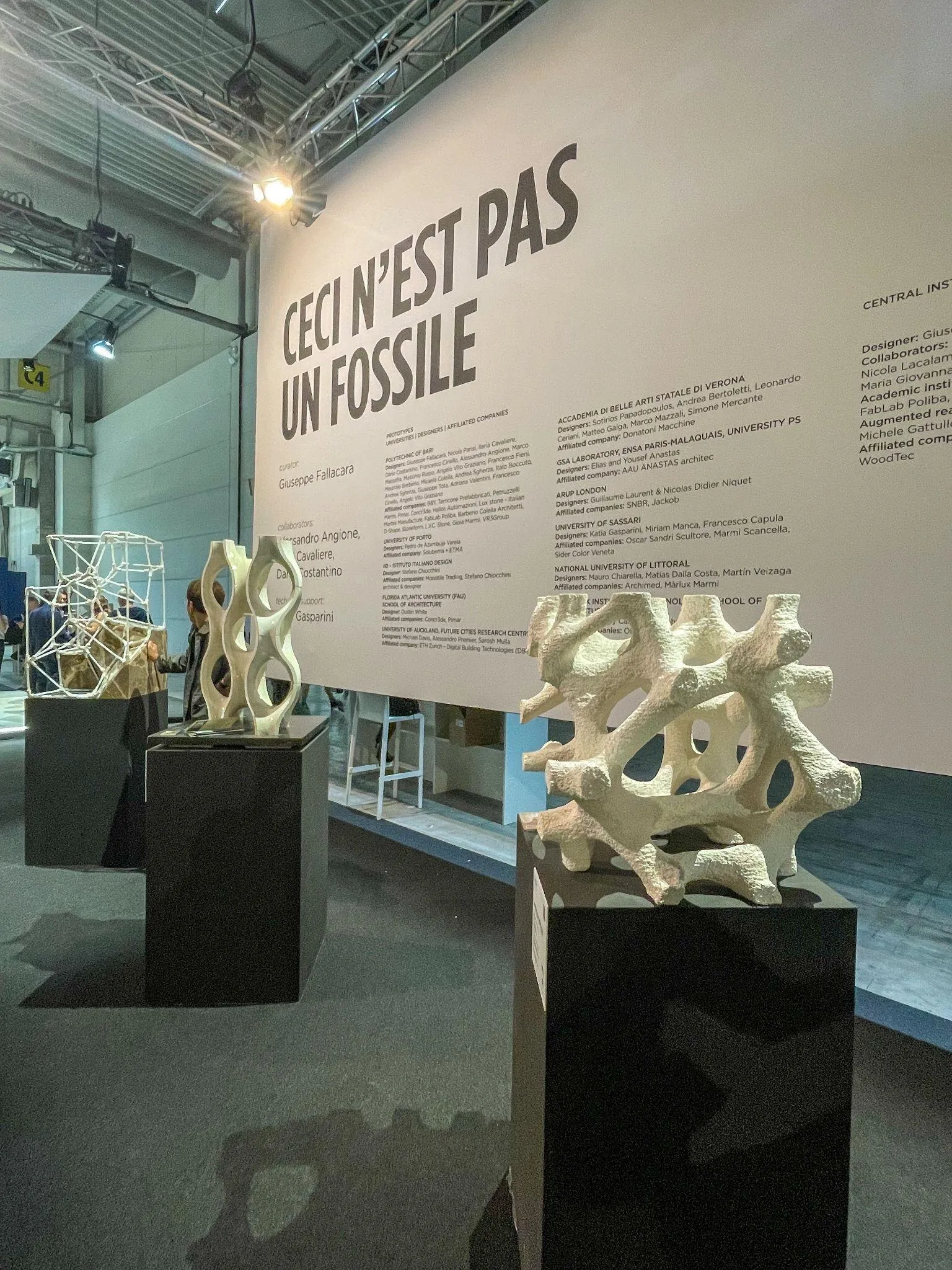 Fossile marmomac